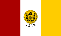cityflag.gif