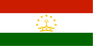 Role of Media in Countering Violent Extremism: A Project for Tajikistan