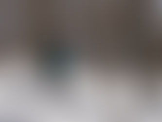 If Mola had a Wikipedia Page