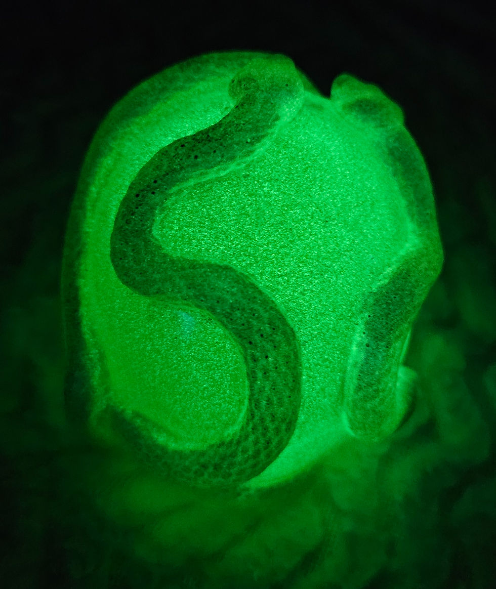 Thumbnail: Skull with chameleon colored snakes and glow in the dark (each sold separate)