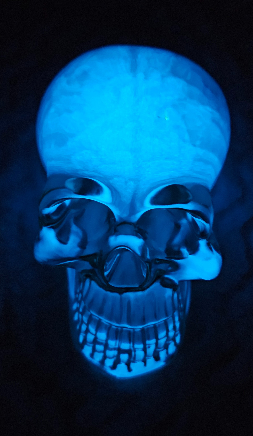 Thumbnail: Skull with glow in the dark blue brain