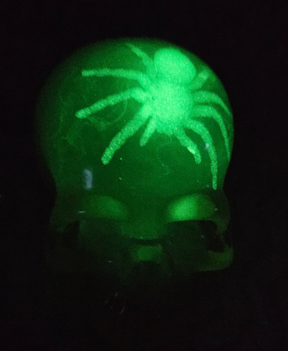 Thumbnail: Skull with spider web and glow in the dark spider