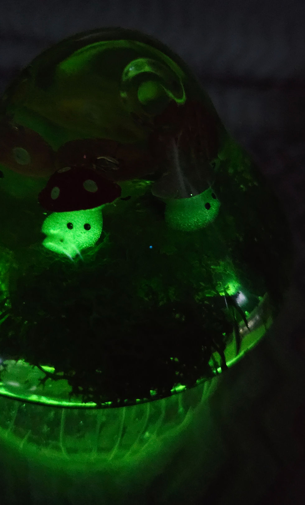 Thumbnail: Large mushroom jar with small glow mushrooms and glow glitter