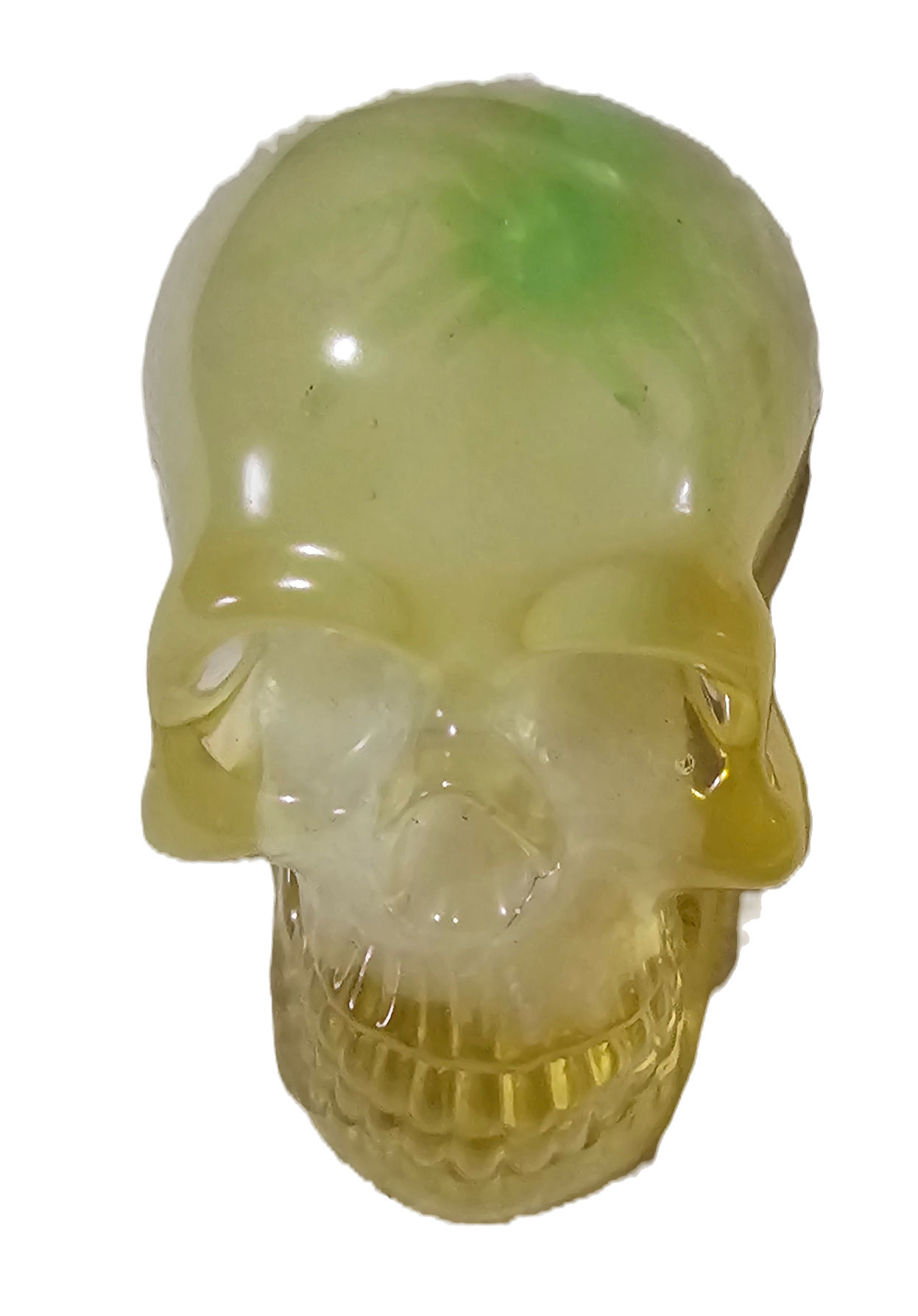 Skull with spider web and glow in the dark spider