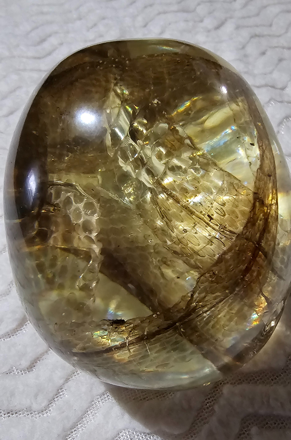 Thumbnail: Skull unique, one of a kind with full snake skin shed