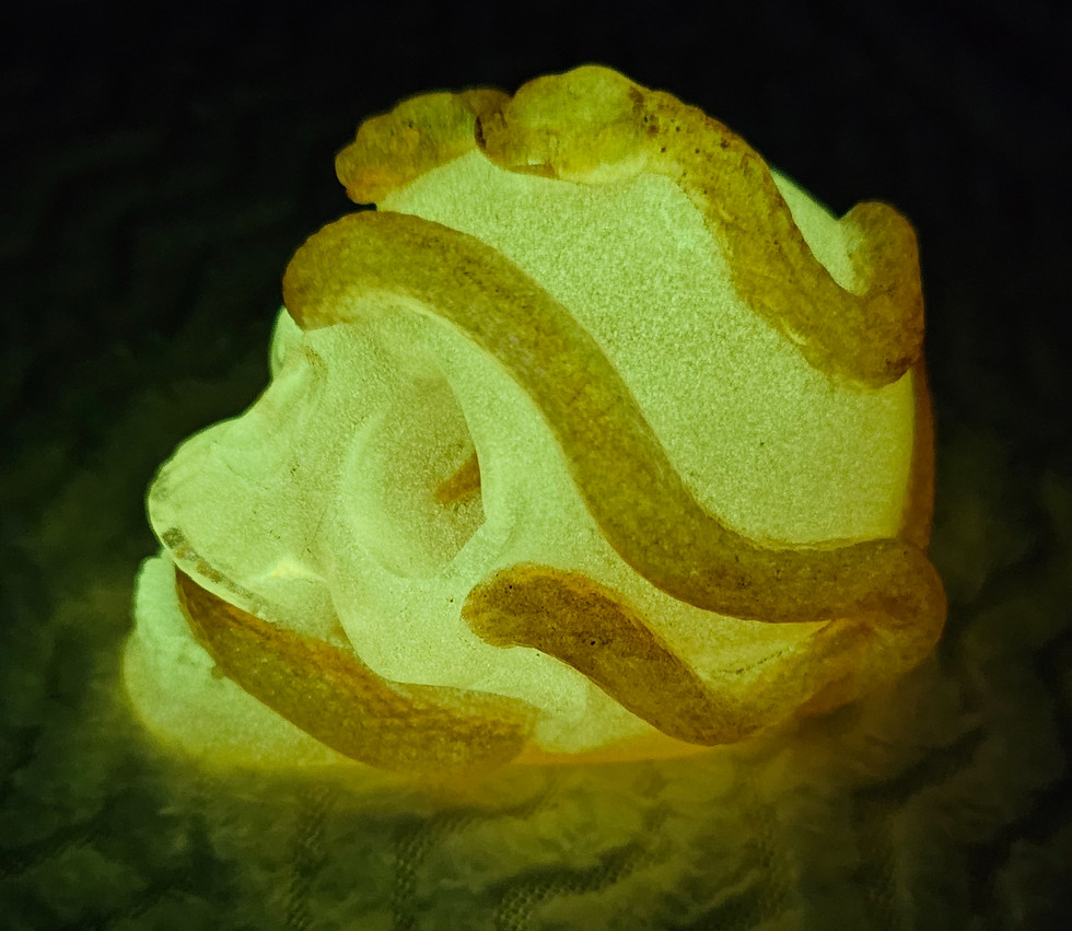 Thumbnail: Skull with chameleon colored snakes and glow in the dark (each sold separate)