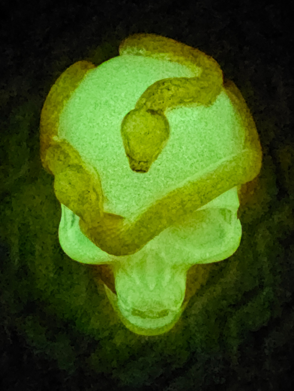 Thumbnail: Skull with chameleon colored snakes and glow in the dark (each sold separate)