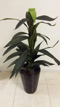 Planta artificial