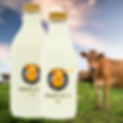 Our milk is bottled in recylable PET bottles