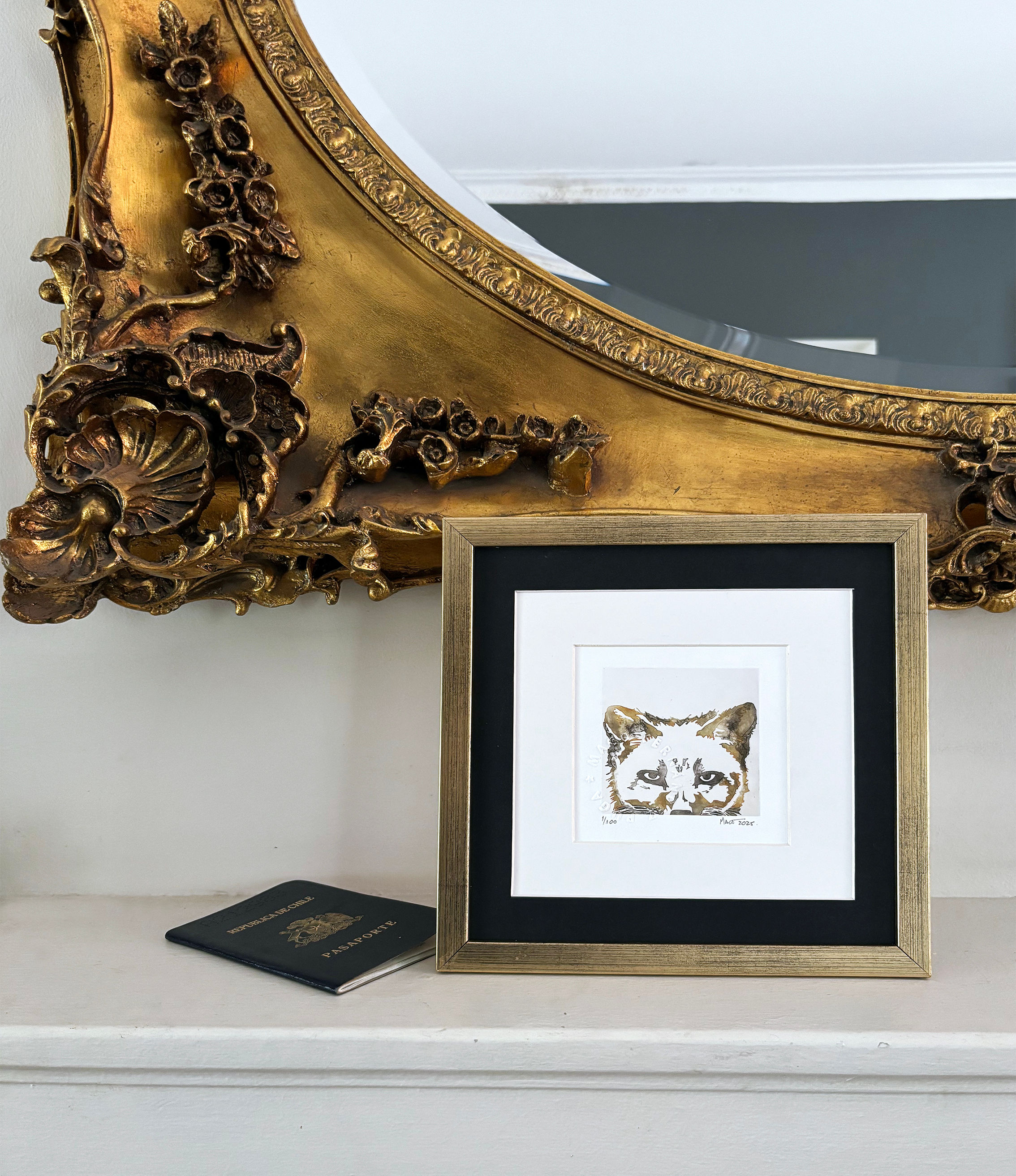 Giclée « Le Renard de Darwin »