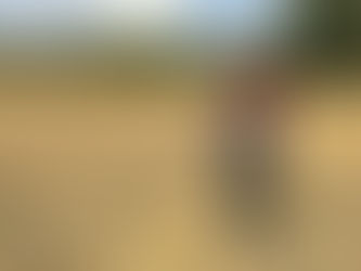 Yanlış beyanlar tespit edildi!