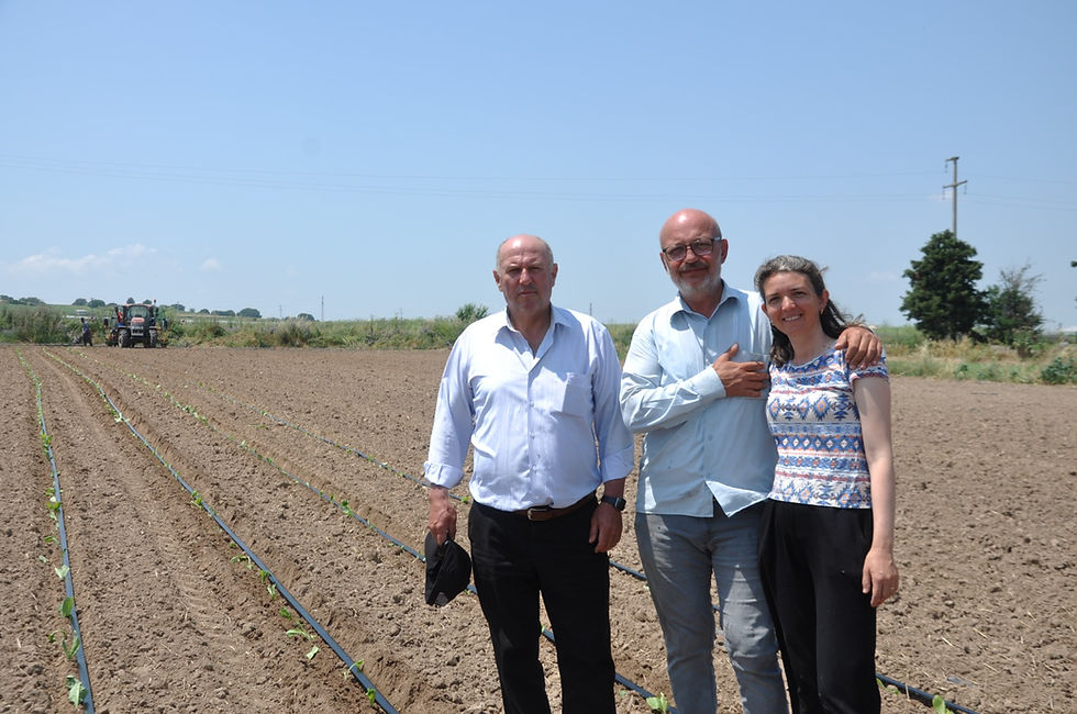 Lüleburgaz’da tütün devri!