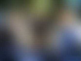 Dingiloğlu Parkı Yenileniyor