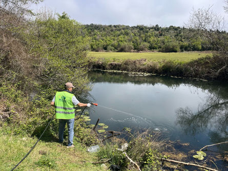 Sivrisinek ve haşerelere karşı ilaçlama