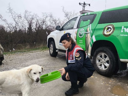 Jandarma sokak hayvanlarını unutmadı