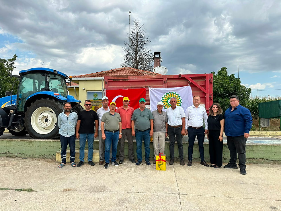 Ayçiçeğinde ilk hasat!