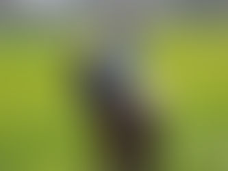 Atçılık geleneği Lüleburgaz’da!