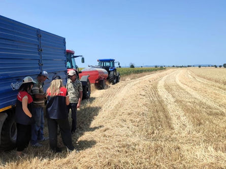 Hasat kontrol çalışmaları sürüyor