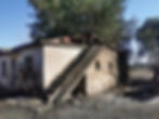 ree
