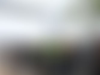 Doğal yaşam alanında sona doğru