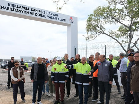 Doğal yaşam alanında sona doğru