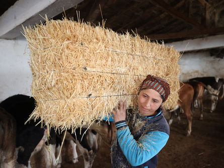 Gelin geldiği köyde sürü sahibi oldu