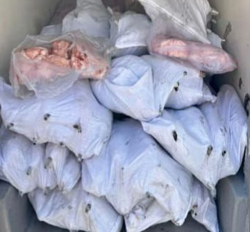 1500 kilo imha edildi!