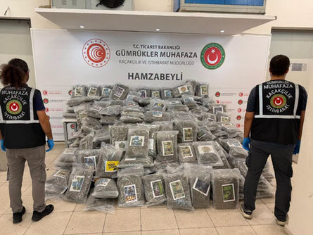 Hamzabeyli’de zehir avı!
