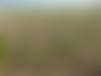 Son yağışlar ilaç gibi geldi