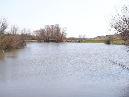 Yündalan’da besiciler rahatladı