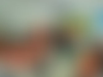 Büyükmandıra’da ekosistem yolculuğu