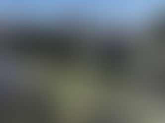 Tunca’da hayat durmak üzere!