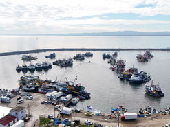 İğneada’da hamsi bereketi!