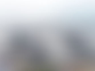 İğneada’da hamsi bereketi!