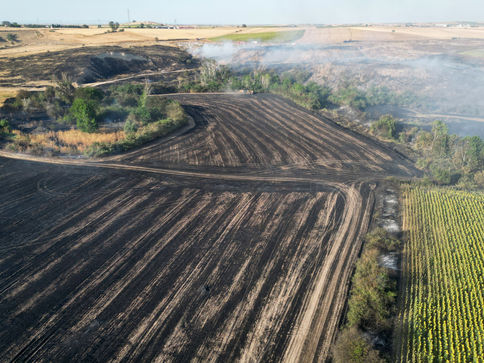 1500 dekar tarım arazisi zarar gördü
