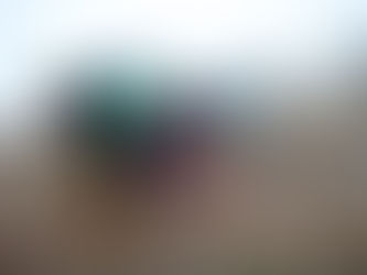 Fidanlar kadınların ellerinde yeşeriyor