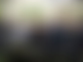 75 üreticiye 150 ana arı teslim edildi