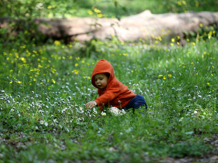 Longoz Ormanları ilkbaharla renklendi