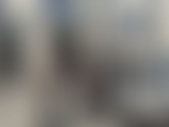 “Sazan Sarmalı” şüphelisi tutuklandı