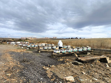 Tarım müdürlüğü denetimleri sürdürüyor