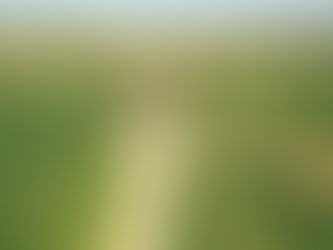 Arazi yollarında düzenleme