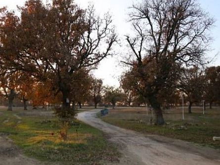 Karahıdır Korusu yenilenecek