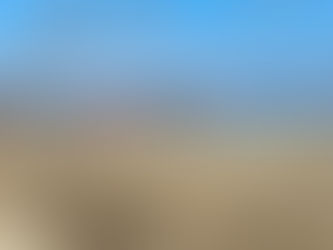 Yangın arı kovanlarını yaktı!