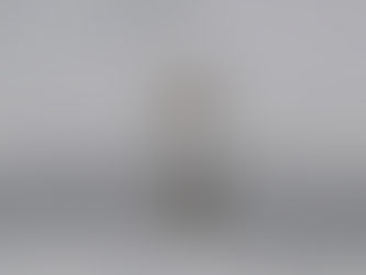 Kutup Ayıları Artan Sıcaklıklara Uyum Sağlıyor