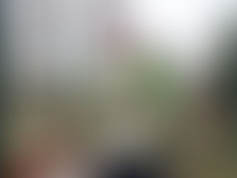 İkizlerin annelik yapıyor