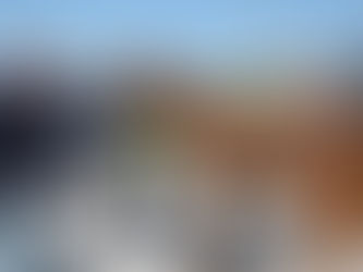 Başıboş atlar toplanmaya başlandı