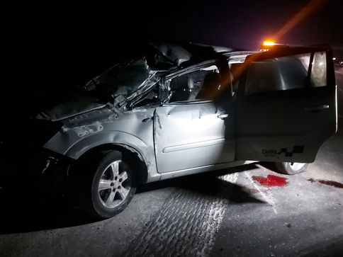 Kaza yapan otomobil sürücü kurtarılamadı