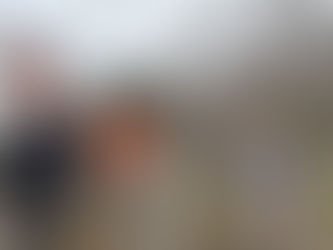 Ağaç budama çalışmalarını inceledi