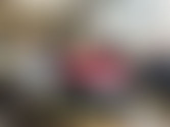 Briçte vize problemi