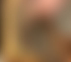 Arıcılık kursu başlıyor